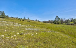 13012 Highway 124, Ione, CA 95640