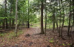 90  Camp A Way Road, Granville, NY 12832