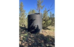 Raccoon, Alturas, CA 96101