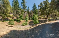 1004 Friedrich Rd, Burnt Ranch, CA 95527