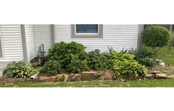 902 E Chism St, Paris, AR 72855