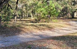 Landry Road, Perry, FL 32348