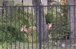 200 Park Place Dr, Georgetown, TX 78628