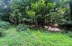 639 Bear Rock Road, Lake Ariel, PA 18436