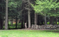 12.-2-11 Wood Road, Harpersfield, NY 12093