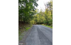 Lot 161 LEE RD, BASYE, VA 22810