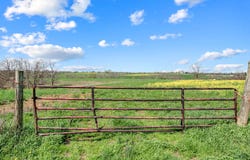 3 Cason Lane, Dry Ridge, KY 41035