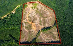 48.5 Acres Bufkin Rd., Walnut Grove, MS 39189