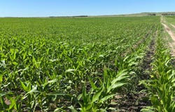 0 HWY 20, Johnstown, NE 69214