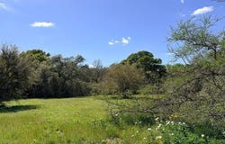 000 Loose Cow Road, Garwood, TX 77442