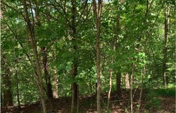 Lot20 Bryant Cove Road, Blairsville, GA 30512
