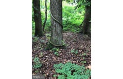 BARNSBORO ROAD, SEWELL, NJ 08080