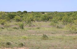 414 County Road 414, Brady, TX 76825