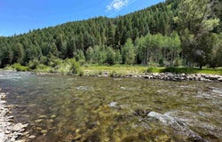 27048 County Road 12, Somerset, CO 81434