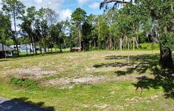 Tbd SW 9TH STREET, WILLISTON, FL 32696