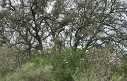 TBD Private Road 644, Brady, TX 76825