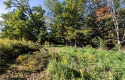 Alabama Avenue SW, Navarre, OH 44662