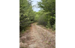 7 Bog Brook Loop, West Paris, ME 04289