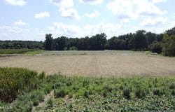 0 Suttontown Road, Faison, NC 28341