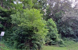 2732 Willocks Ave, Maryville, TN 37804