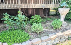 3385 SW Highway V V, El Dorado Springs, MO 64744