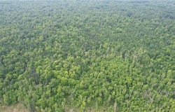 Parcel A Ticonderoga Trail, Hackensack, MN 56452