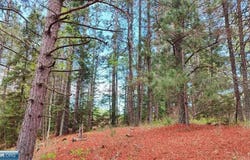 80064 Osprey Pass, Tower, MN 55790