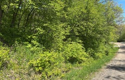 6703 Panorama Drive, Panora, IA 50216