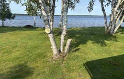 9218 PACHY RD, CARP LAKE, MI 49718