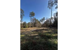 Lakeside Dr, Carriere, MS 39426