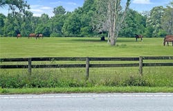 5378 W HIGHWAY 329, REDDICK, FL 32686