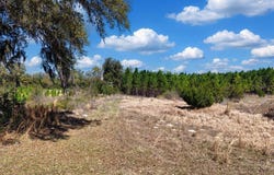 NW 60TH AVE, CHIEFLAND, FL 32626