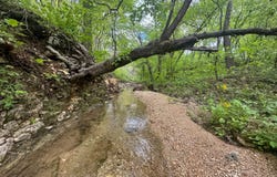 000 Jugtown Road, Tunas, MO 65764