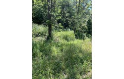 1111 North Hwy 421, McKee, KY 40447