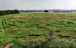 400 Vineyard View Trail, Carmine, TX 78932