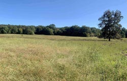 0 Co Hwy 75, Russellville, AL 35654