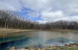 (31.46+/-ac) Tract #4 Horstman Road, New Haven, MO 63068