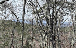 COUNTY ROAD 852, HEFLIN, AL 36264