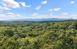 Oceola Dr - Lot #7, Ellijay, GA 30540