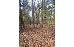 000 Private Road 8000, Winnsboro, TX 75494