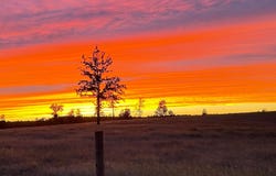 8.72 Acres Tandem Trail, Windsor, SC 29856