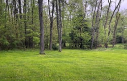 . Route 899 & Bear Run Road, Marienville, PA 16239