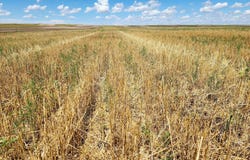 TBD Road 7W, Kimball, NE 69128
