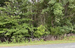 Parford Ln, Moneta, VA 24121