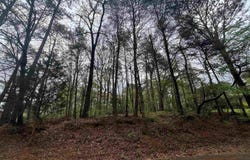 921 PINEHAVEN DRIVE, BESSEMER, AL 35023