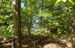 13 RIVERVIEW CT, Lincolnton, GA 30817