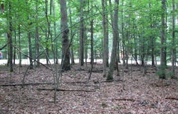 114 WINSTON PLACE, DANIELS, WV 25832