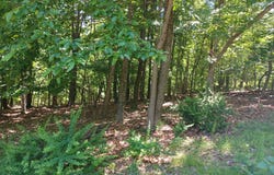 Lot 40 WILD APPLE LANE, PAW PAW, WV 25434