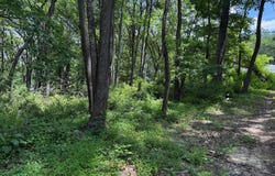 82 CABIN ROAD, AUGUSTA, WV 26704
