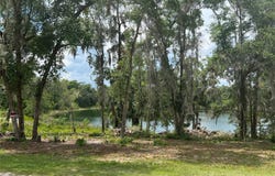 185 MALAUKA LOOP, OCKLAWAHA, FL 32179